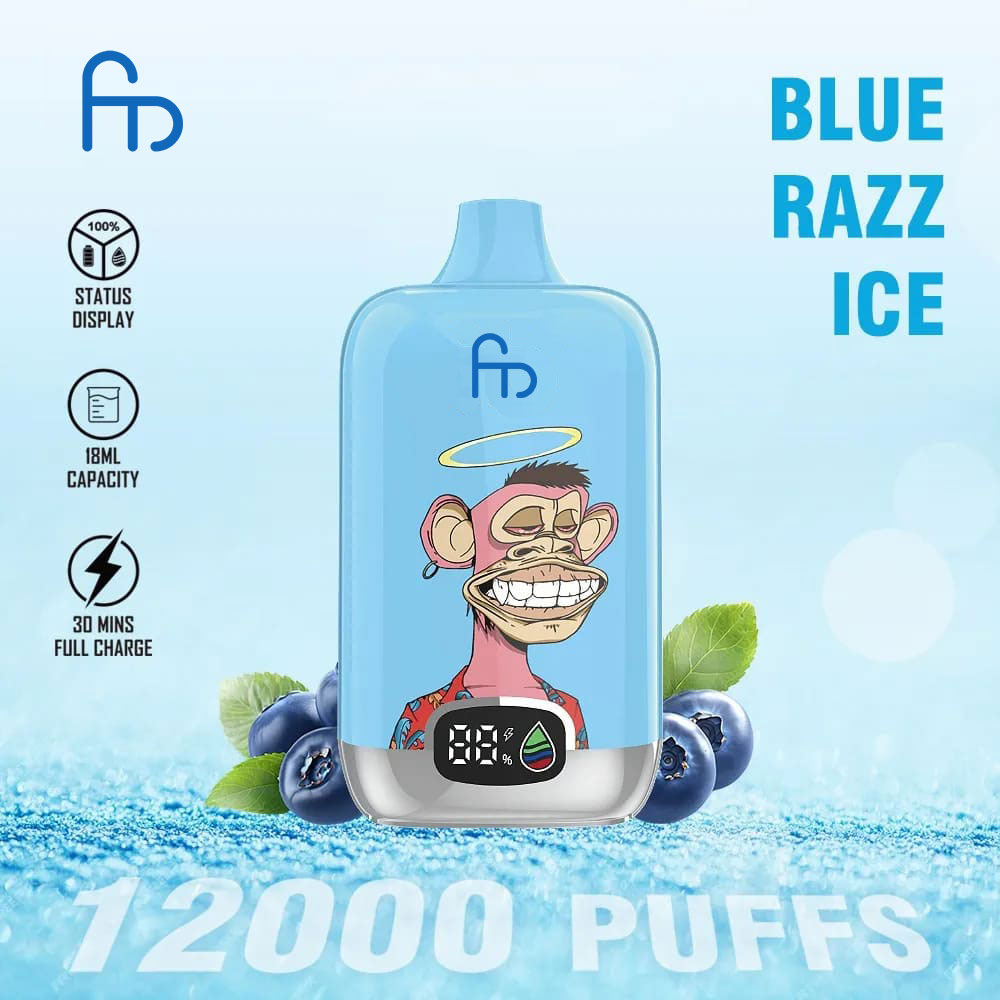 Fumot Digitale Box Einweg-Vape 12000 Züge