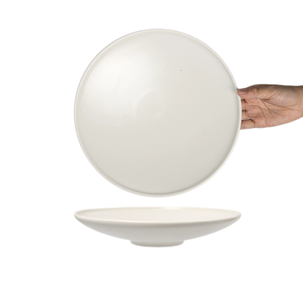 Stoneware Dinner Plate – Microwave & Dishwasher Safe Solid Color Ceramic Dish