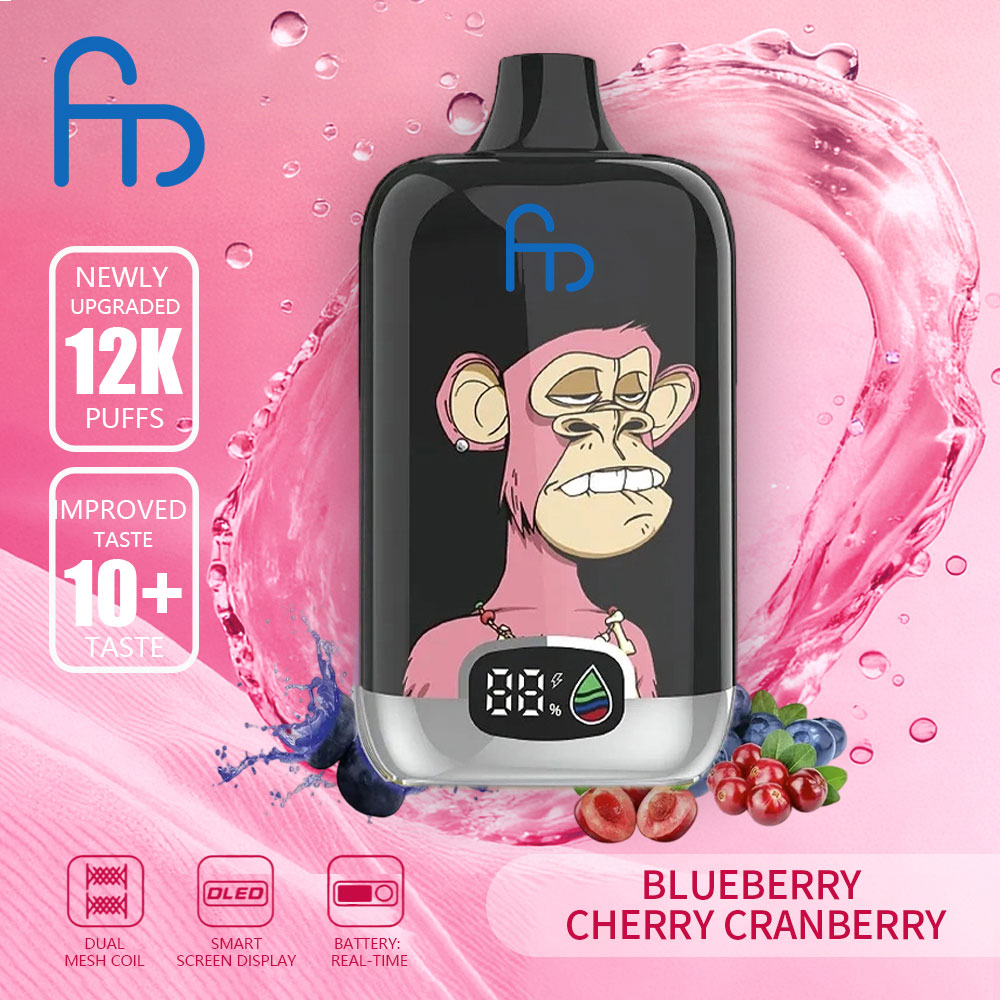 Fumot Digitale Box Einweg-Vape 12000 Züge