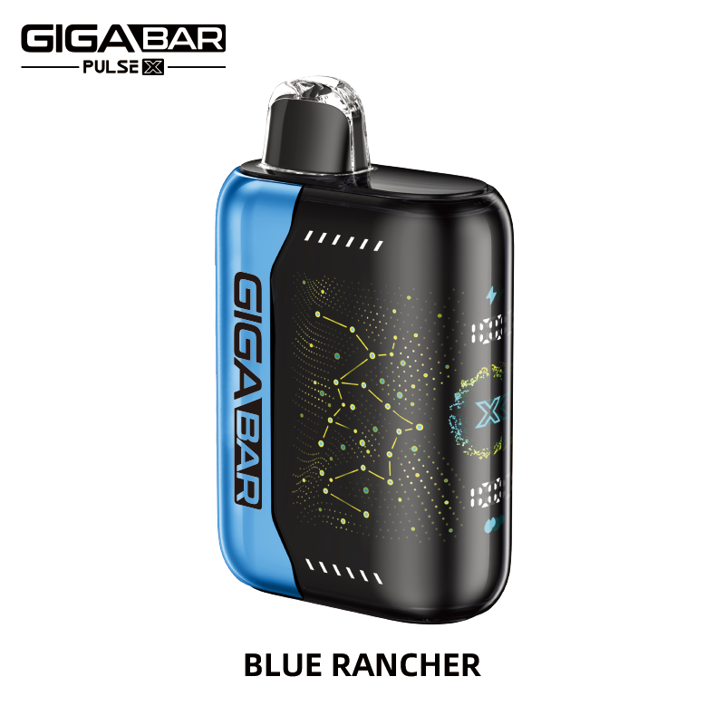GIGABAR PULSE X 25000 PUFFS