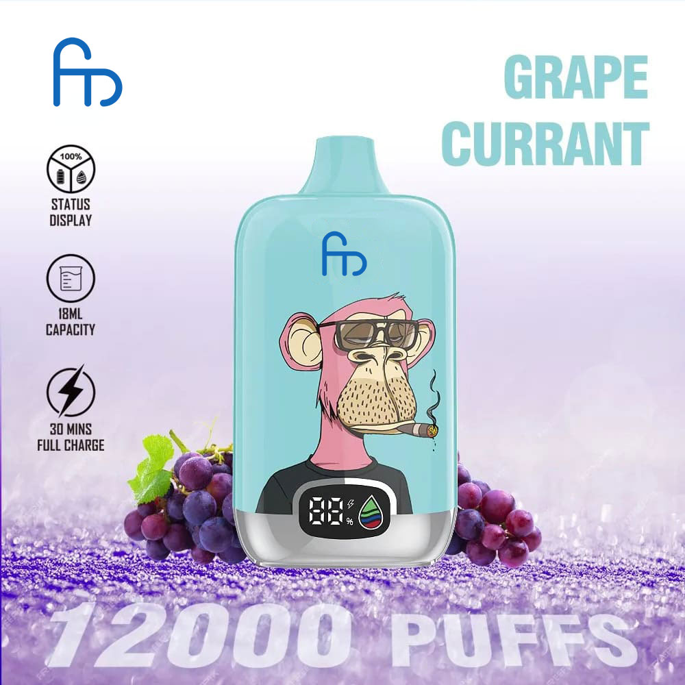 Fumot Digitale Box Einweg-Vape 12000 Züge