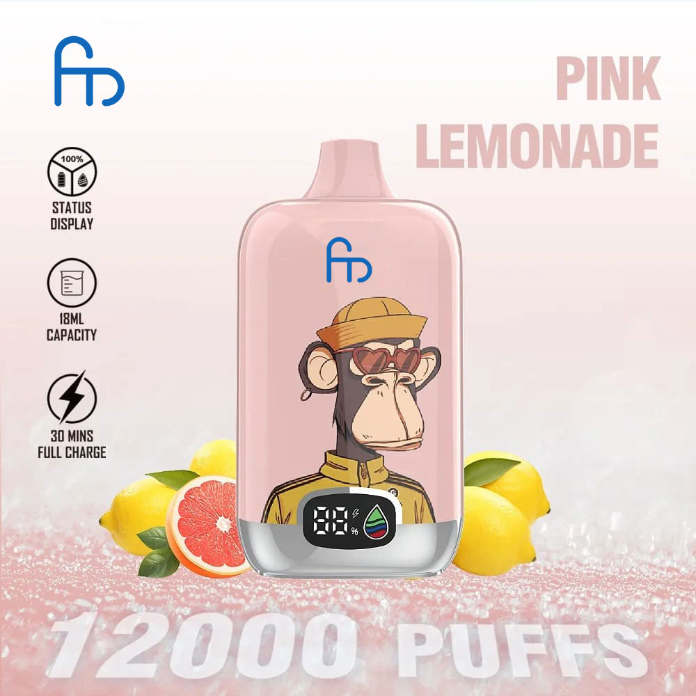 Fumot Digitale Box Einweg-Vape 12000 Züge