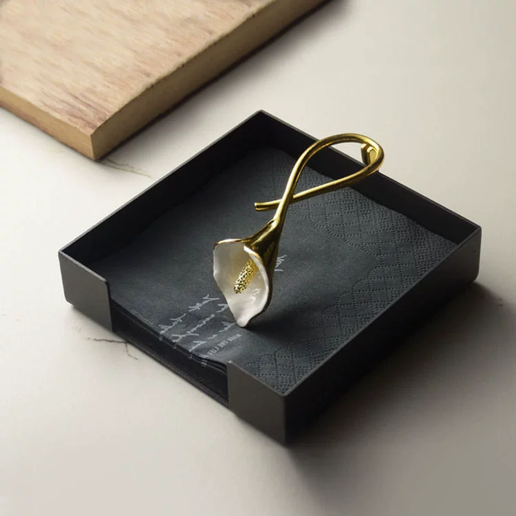 304 Stainless Steel Napkin Holder | FDA 21 CFR 175.300 & EN 13402-3