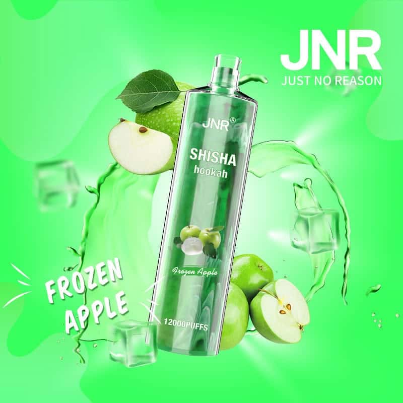 JNR Shisha 12000 Puff 12k Puffs Disposable Vape Guide