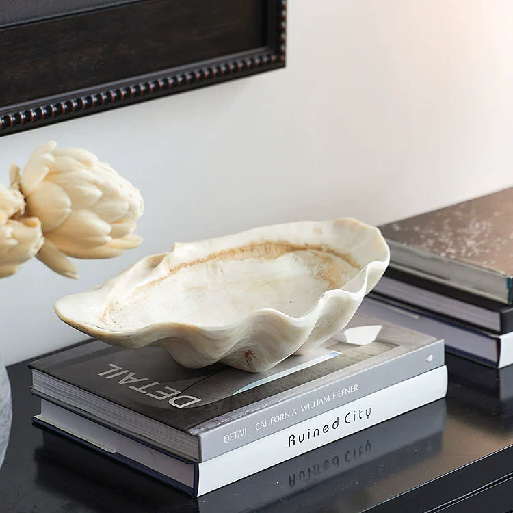 CITES-Certified Shell Storage Tray 8''x6'' | ISO 19712 & EN 71