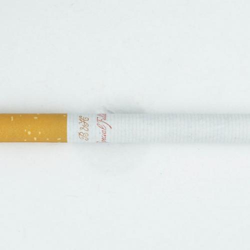 Benson & Hedges Special Filter