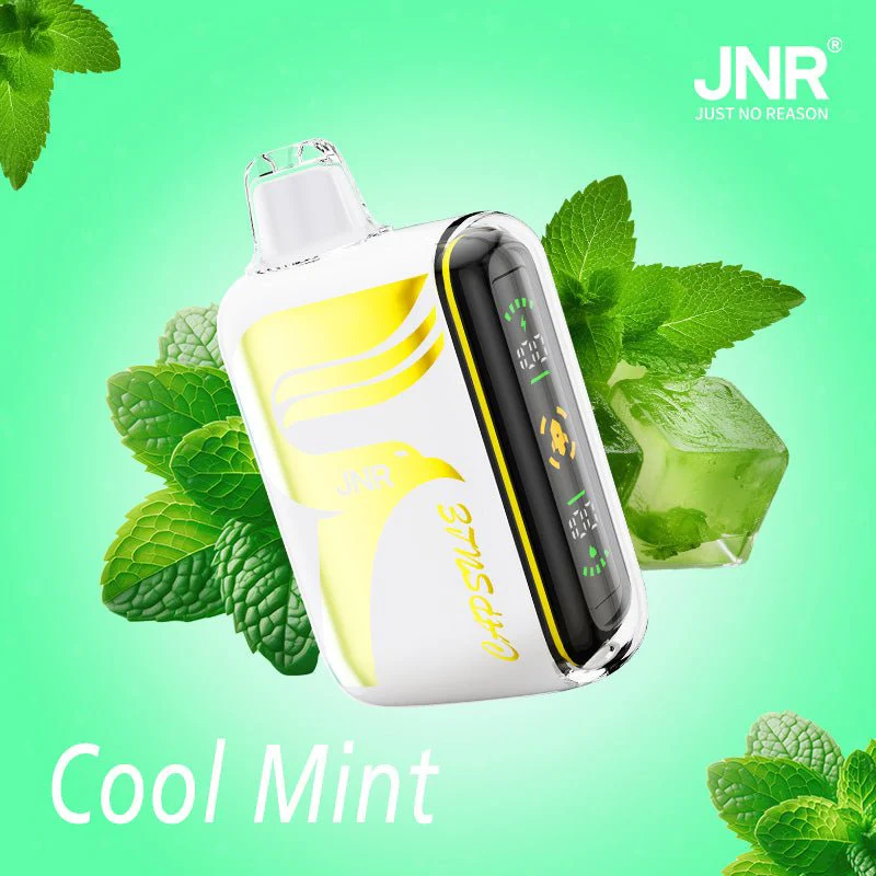 🚀 JNR Capsule 15000 – Einweg-Vape mit bis zu 15.000 Zügen