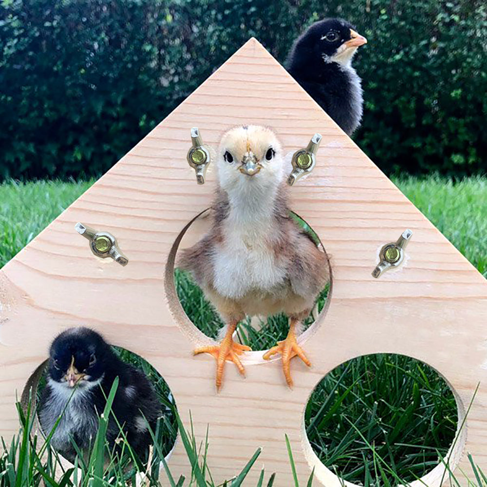 Vehomy Chicken Perch for Chicks Chicken Wood Stand with Holes Chick Stand Trainning Perch Chicken Roost bar for Chicks Chicken Swing Chicken Toy for Hens