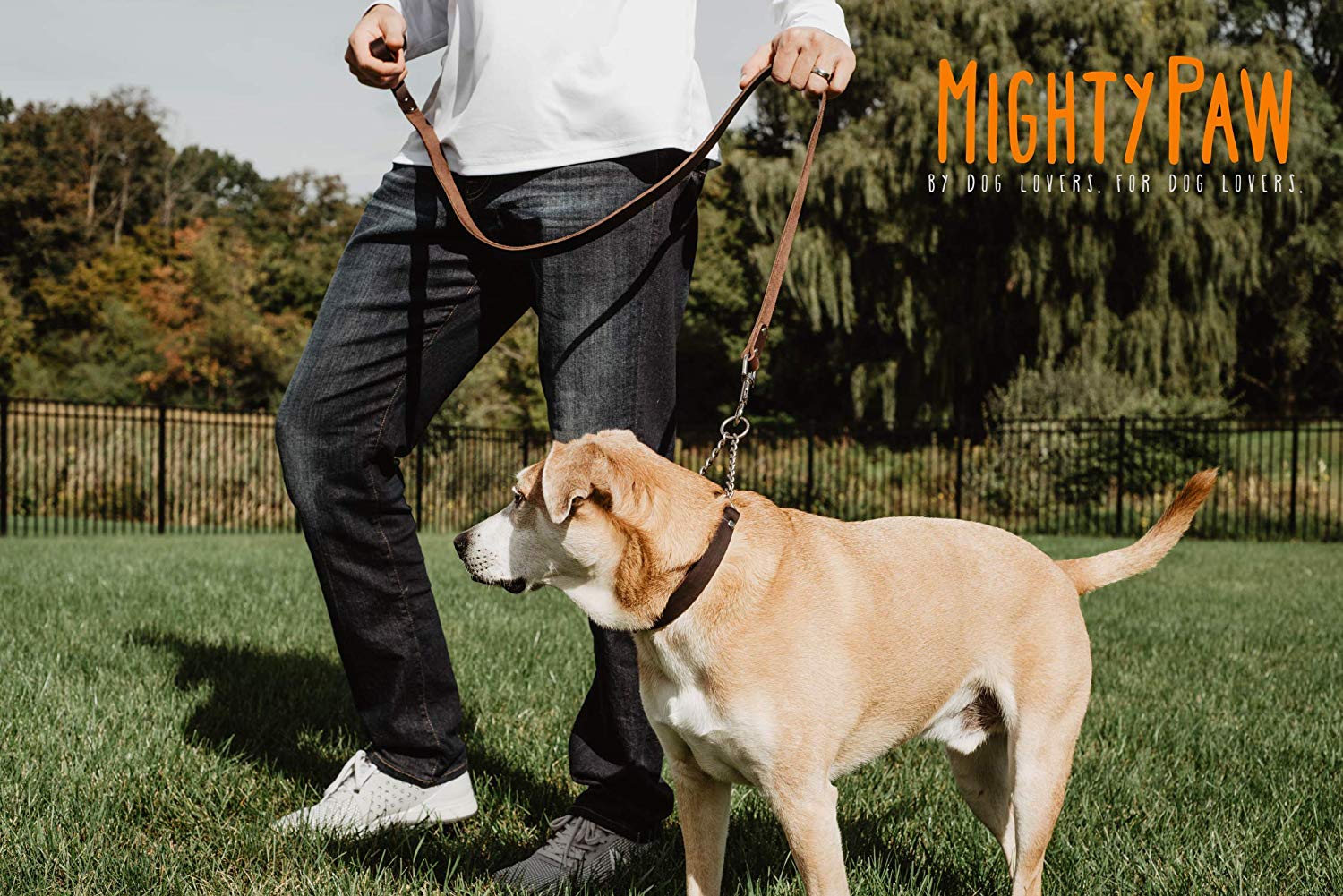 Mighty Paw Leather Training Collar， Martingale Collar， Stainless Steel Chain - Limited Chain Cinch Collar
