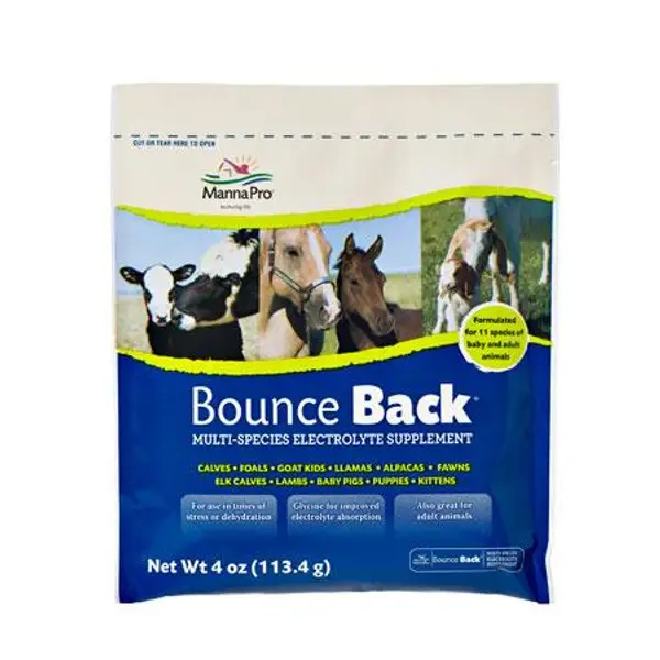 Manna Pro BounceBack Electrolyte