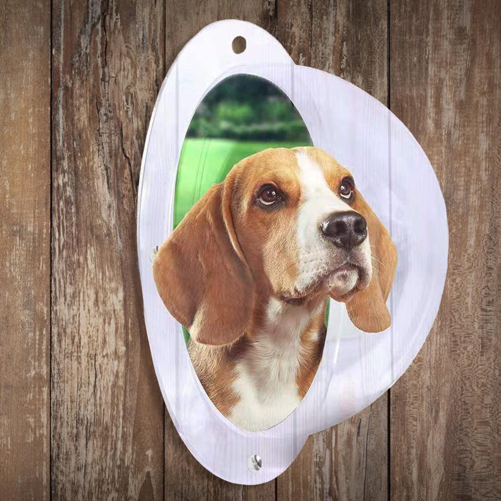 Yard Pet fence Window Cat Bubble Acrylic Clear Dome Window House Garden