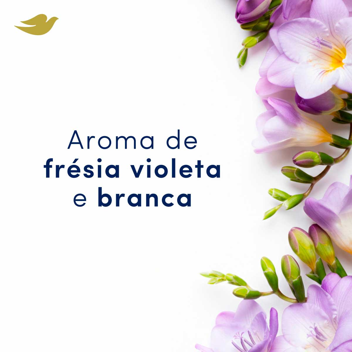 Desodorante Antitranspirante Aerosol Dove Invisible Dry 150ml