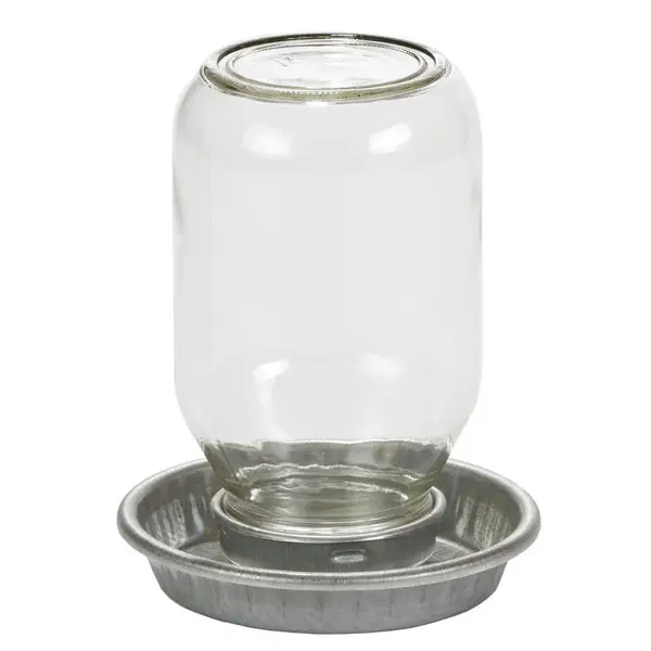 Little Giant Mason Jar Baby Chick Waterer
