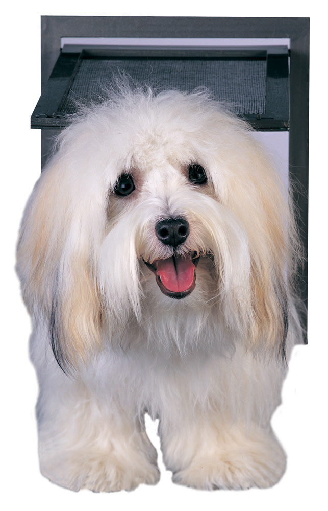 PetSafe Dog and Cat Screen Door， Large