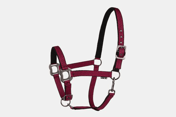 Lettia Viper Halter With Breakaway Tab