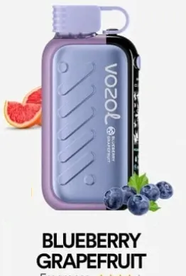 🧊VOZOL GEAR ICE&SWEET 50000 Puffs-Disposable Vape with Ice & Sweet Control