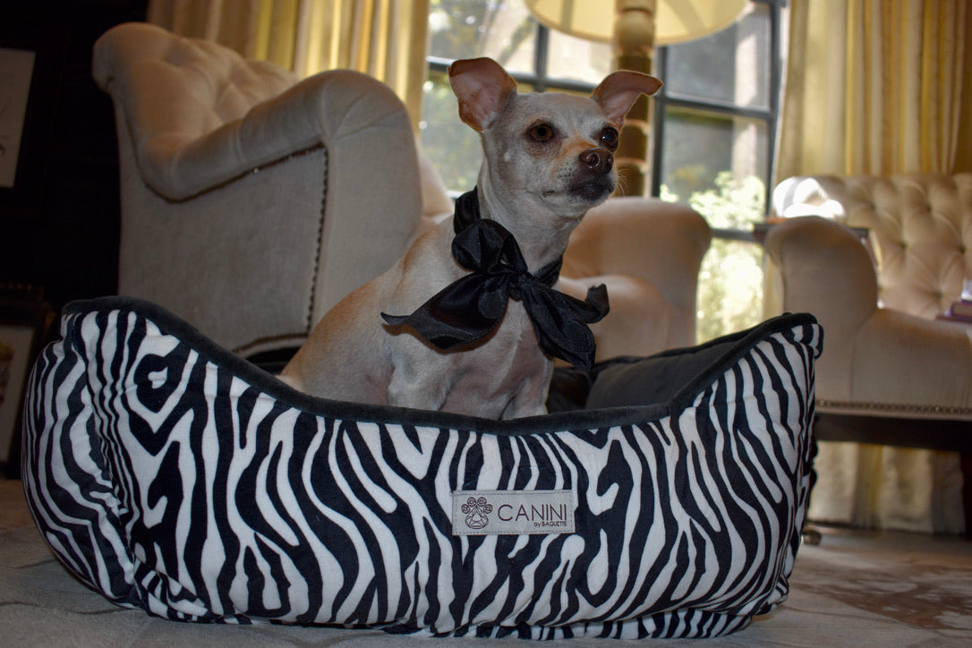 CANINI by Baguette Reversible Micro-Plush Dog Bed for Small-Sized Breeds， Zebra Print