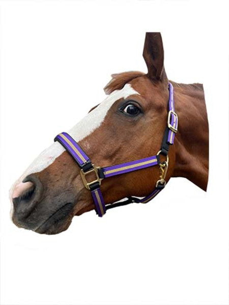 Comfort Padded Halter with Snap Pony Blue