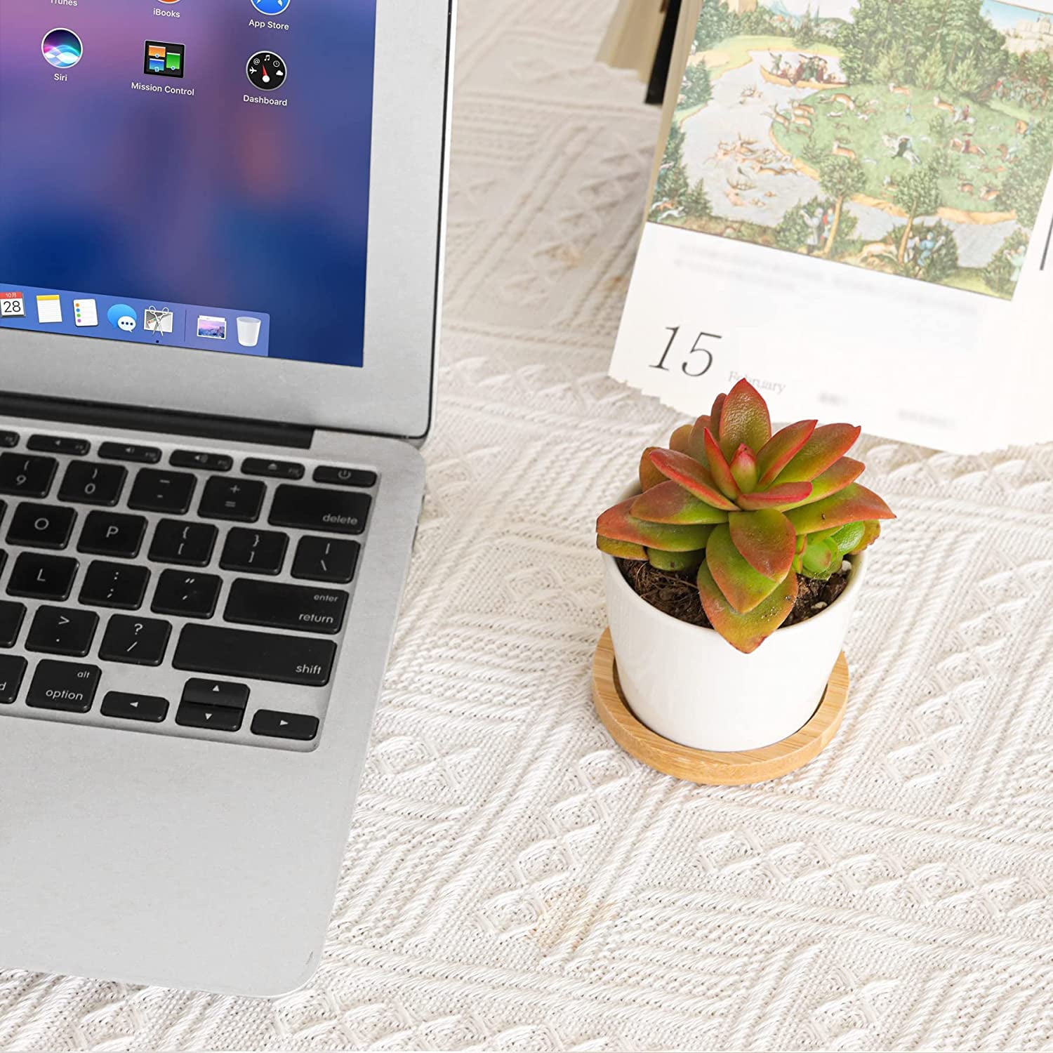 T4U 2.5 inches Small White Succulent Plant Pots Ceramic Succulent Planters with Bamboo Trays, Round, Set of 12