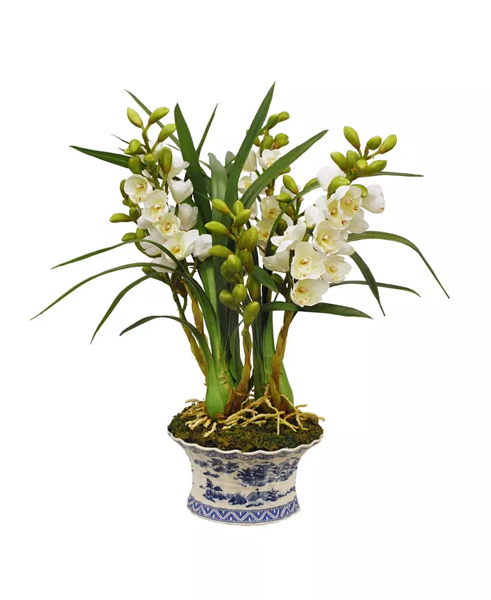 Winward Silks Permanent Botanicals Orchid in Oval Planter