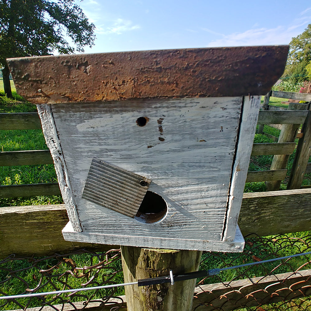 Cumberland Chicken Coop