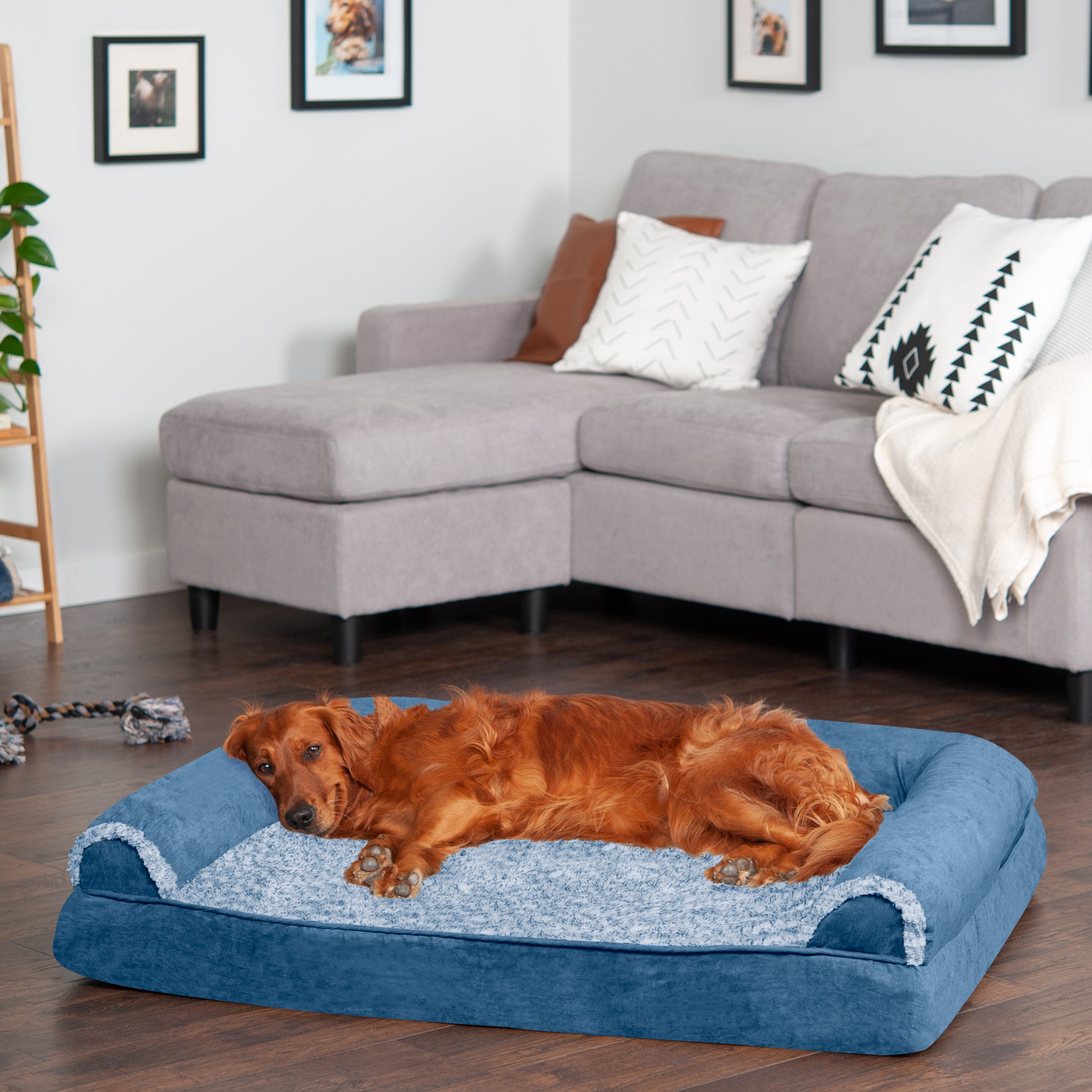 FurHaven Pet Products | Memory Foam Two-Tone Faux Fur and Suede Sofa-Style Couch Pet Bed for Dogs and Cats， Marine Blue， Jumbo