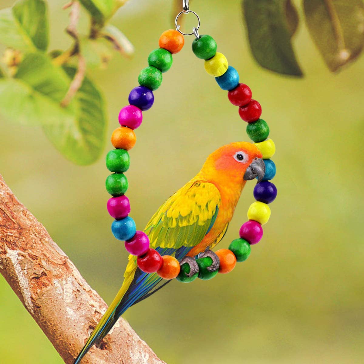 ZITA ELEMENT Bird Toys 8 Pack Parrot Toys for Small Parakeets Cockatiels Conures Finches Swing Chewing Hanging Bell Cage Hammock Toy