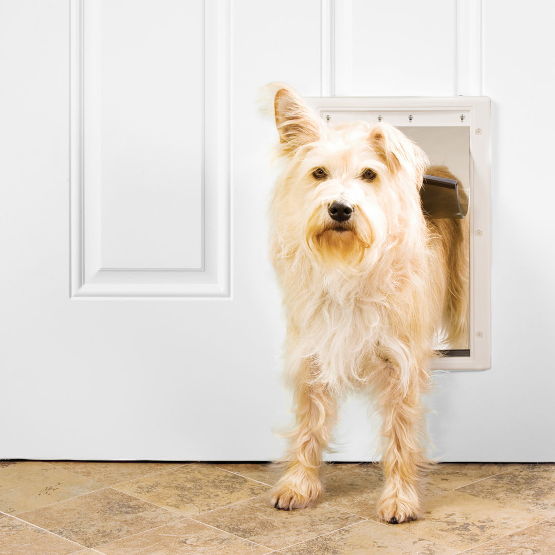 Premier Pet White Plastic Pet Door for Medium-Sized Dogs - Up to 40 Pounds
