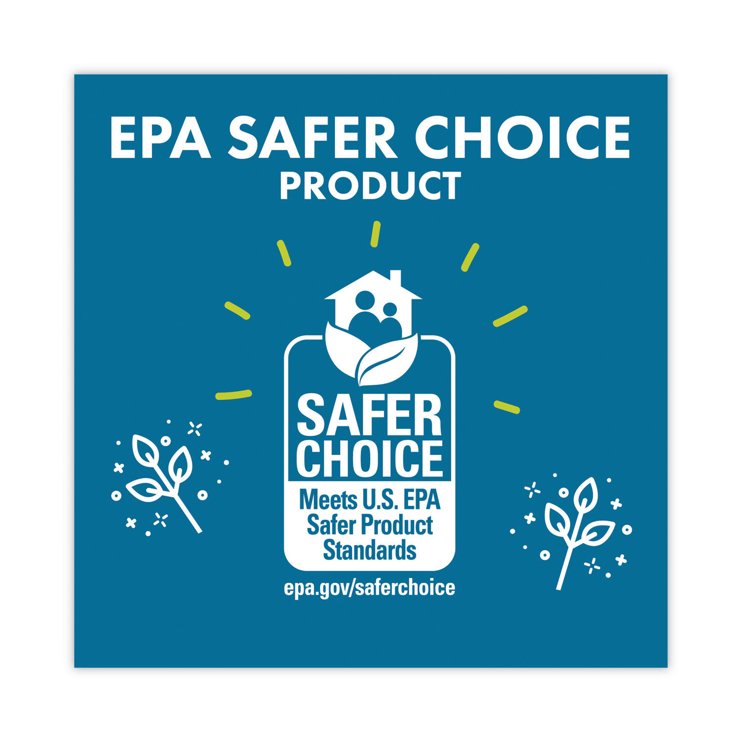 Liquid Dish Soap by Boulder Clean BCL003281EA