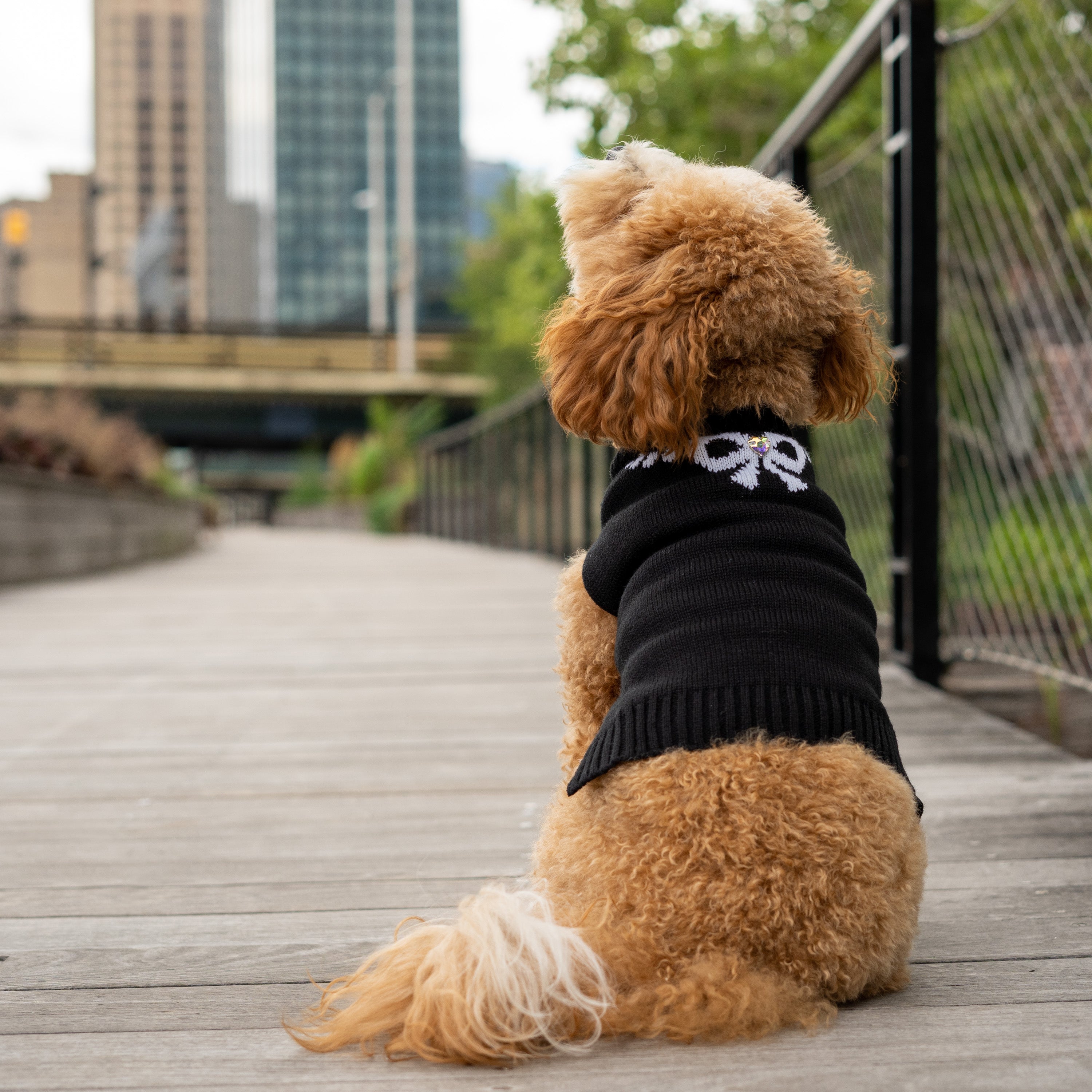 Christian Siriano， Dog Clothes， Bow Necklace Dog or Cat Sweater， Black， XS