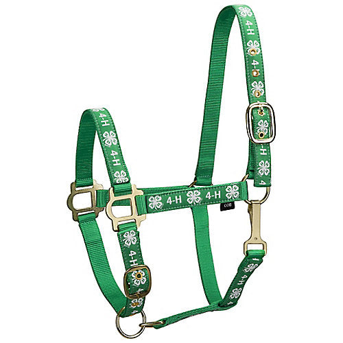4-H Classic Adjustable Nylon Halter w/Snap Horse