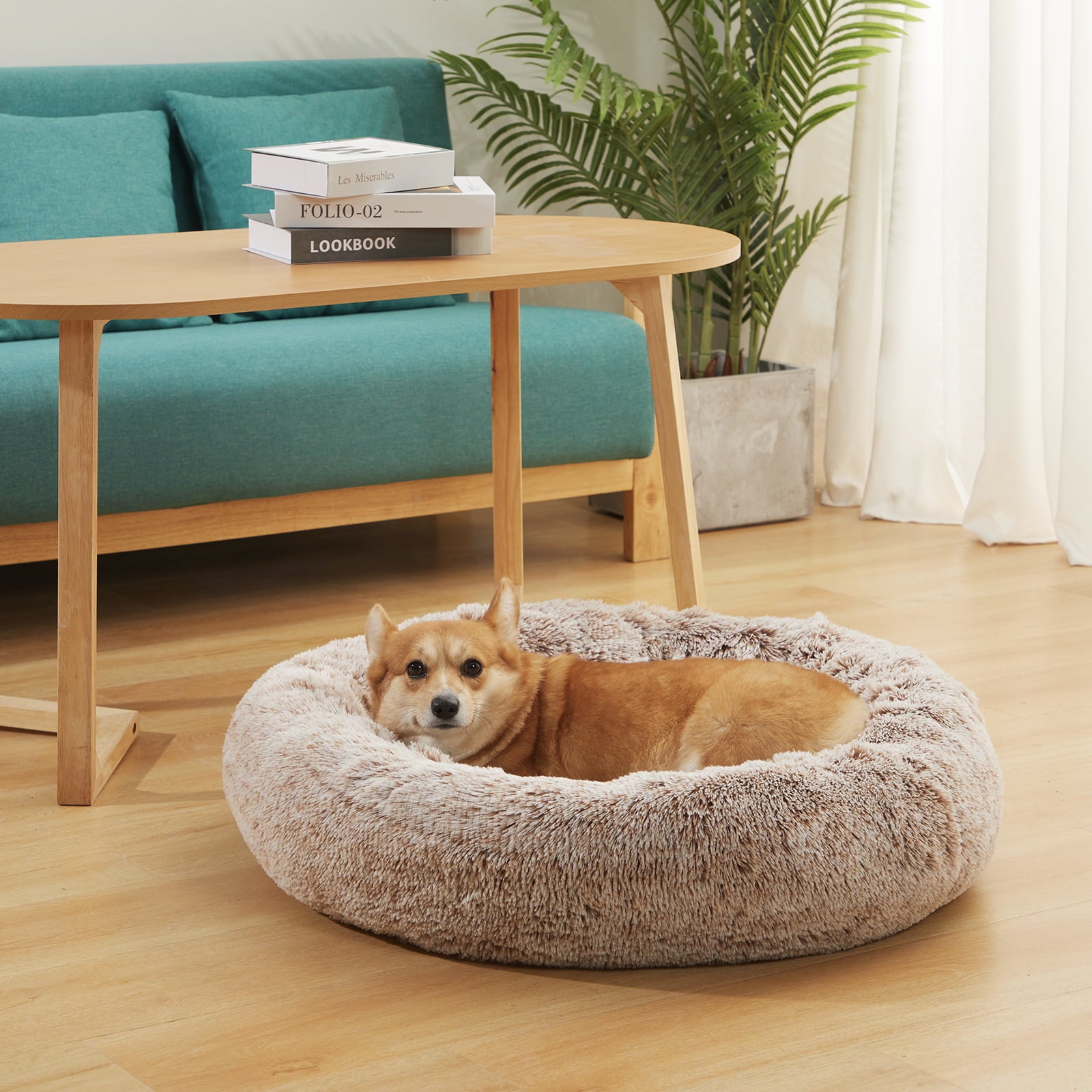 Bedfolks Calming Donut Dog Cuddler Bed， 30