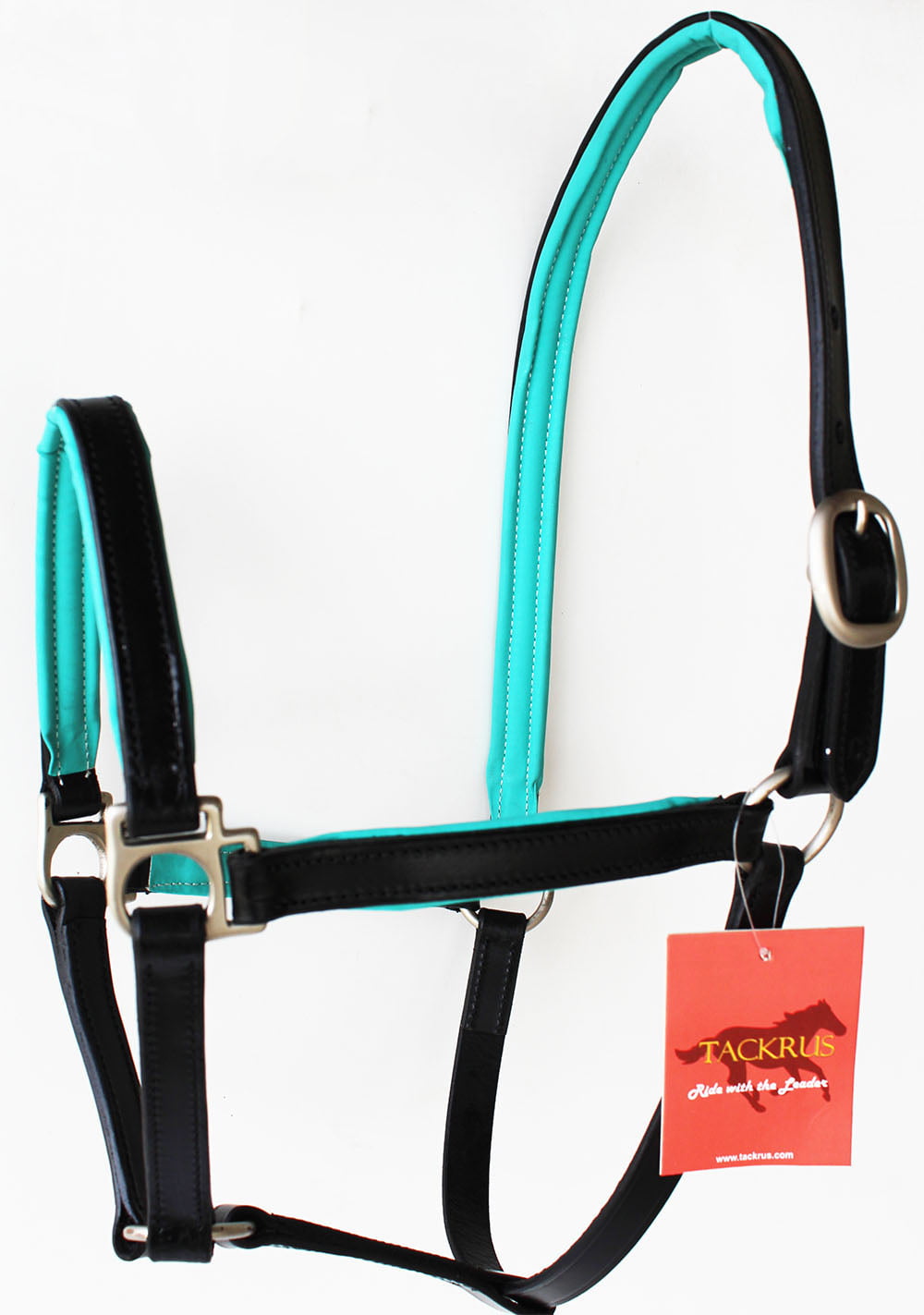 Horse English Padded Leather COB Western  Show Halter Turquoise 803209TRC