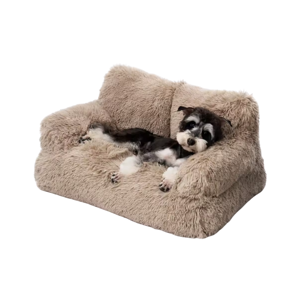 Elevated Pet Sofa Bed | Washable Plush Bed for Small Dogs & Cats