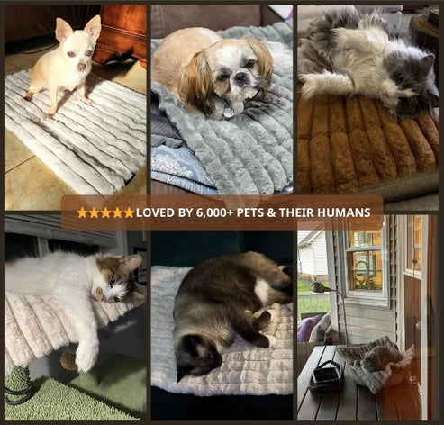 Self Warming Pet Mat | Heated Cozy Pad – Warm & Comfortable Rest