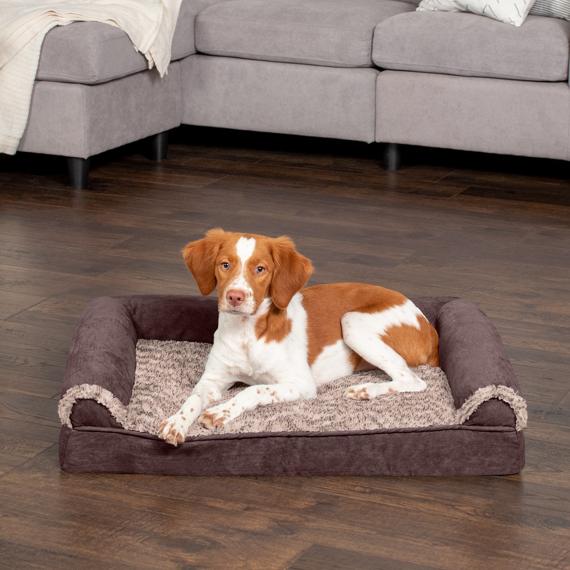 FurHaven Pet Products | Memory Foam Two-Tone Faux Fur and Suede Sofa-Style Couch Pet Bed for Dogs and Cats， Espresso， Medium