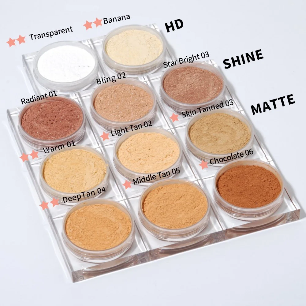11 Color Loose Translucent Face Powder Makeup Setting Powder For Foundation or Concealer