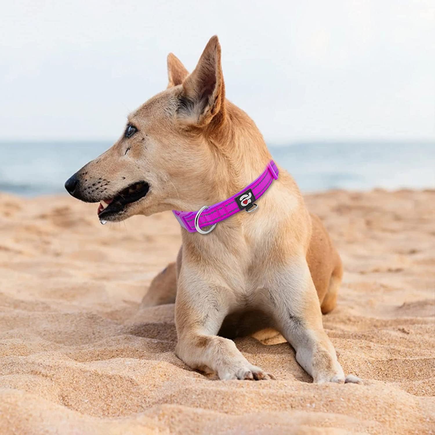 azuza Reflective Dog Collar Super Soft Neoprene Padded Dog Collars with ID Tag Ring for Small Medium Large Dogs