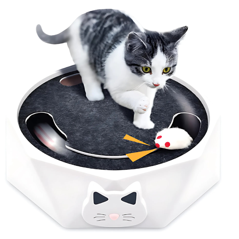 Interactive Mouse Hunt Toy – Play, Scratch & Lounge in One | ClawTrek
