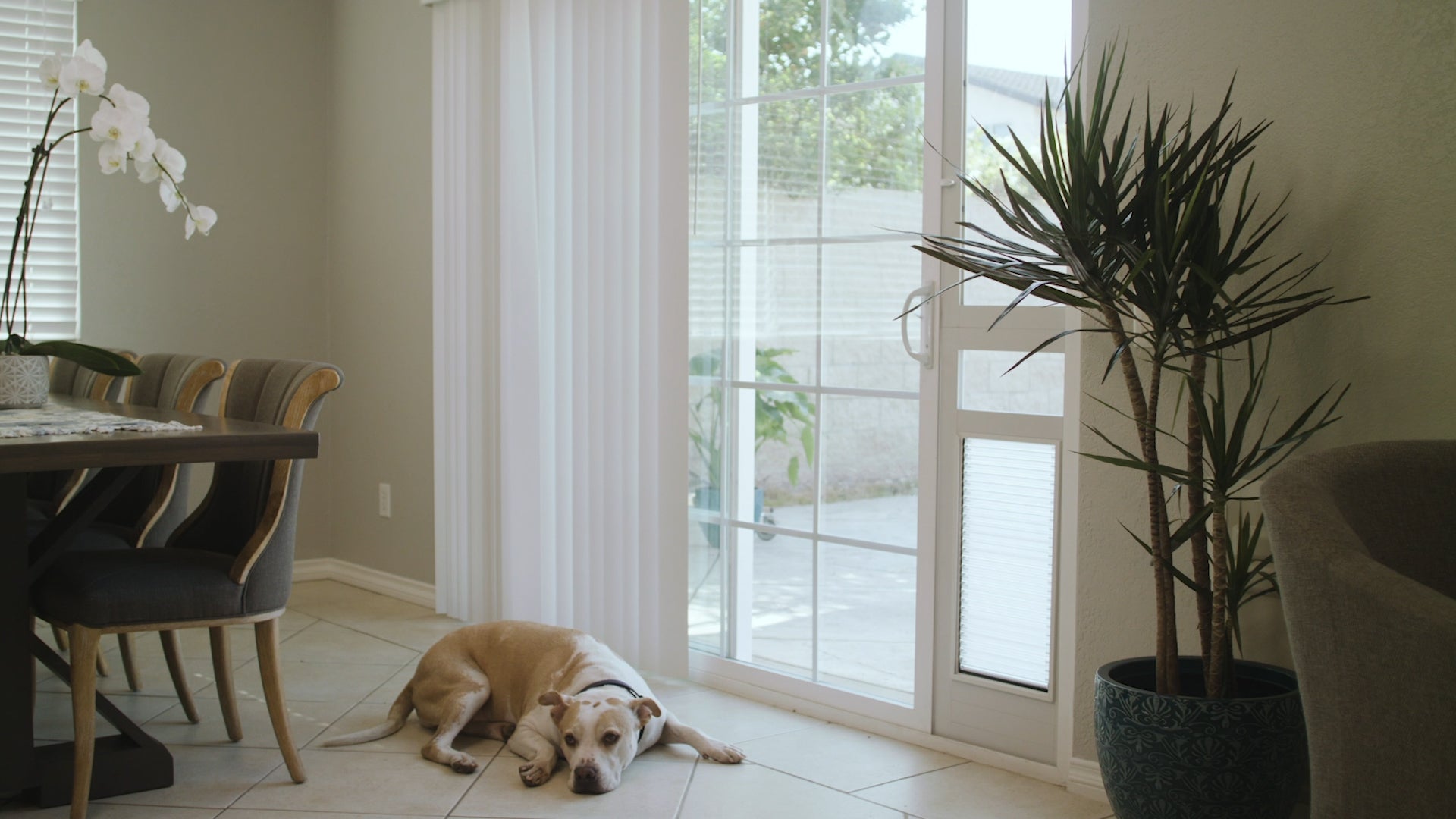 High Tech Pet Armor Flex Low-E Patio Door Regular Height - X-Large