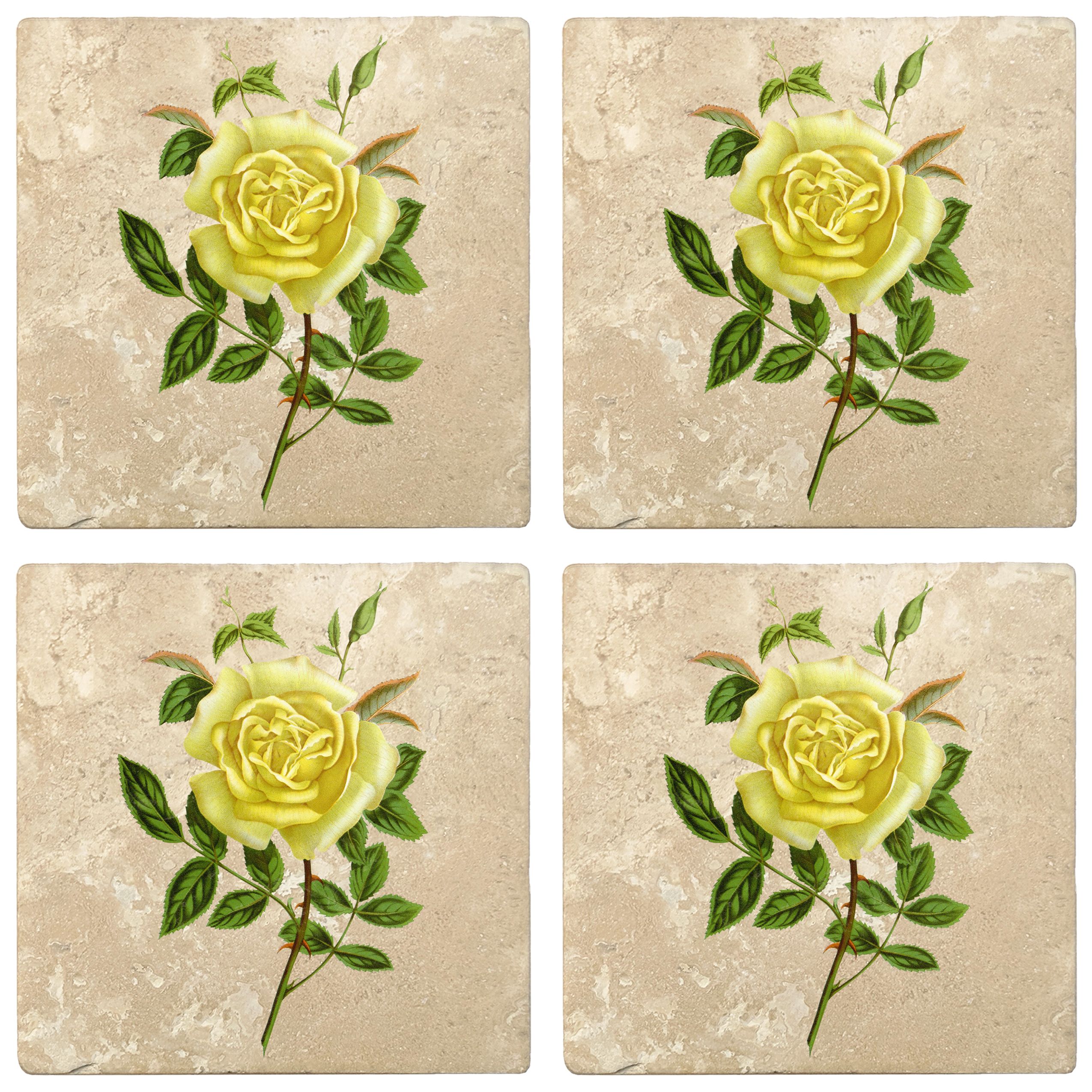 Set of 4 Absorbent Stone 4