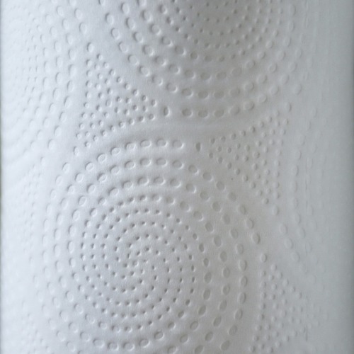 Genuine Joe 85sheet Kitchen Towels  GJO24085