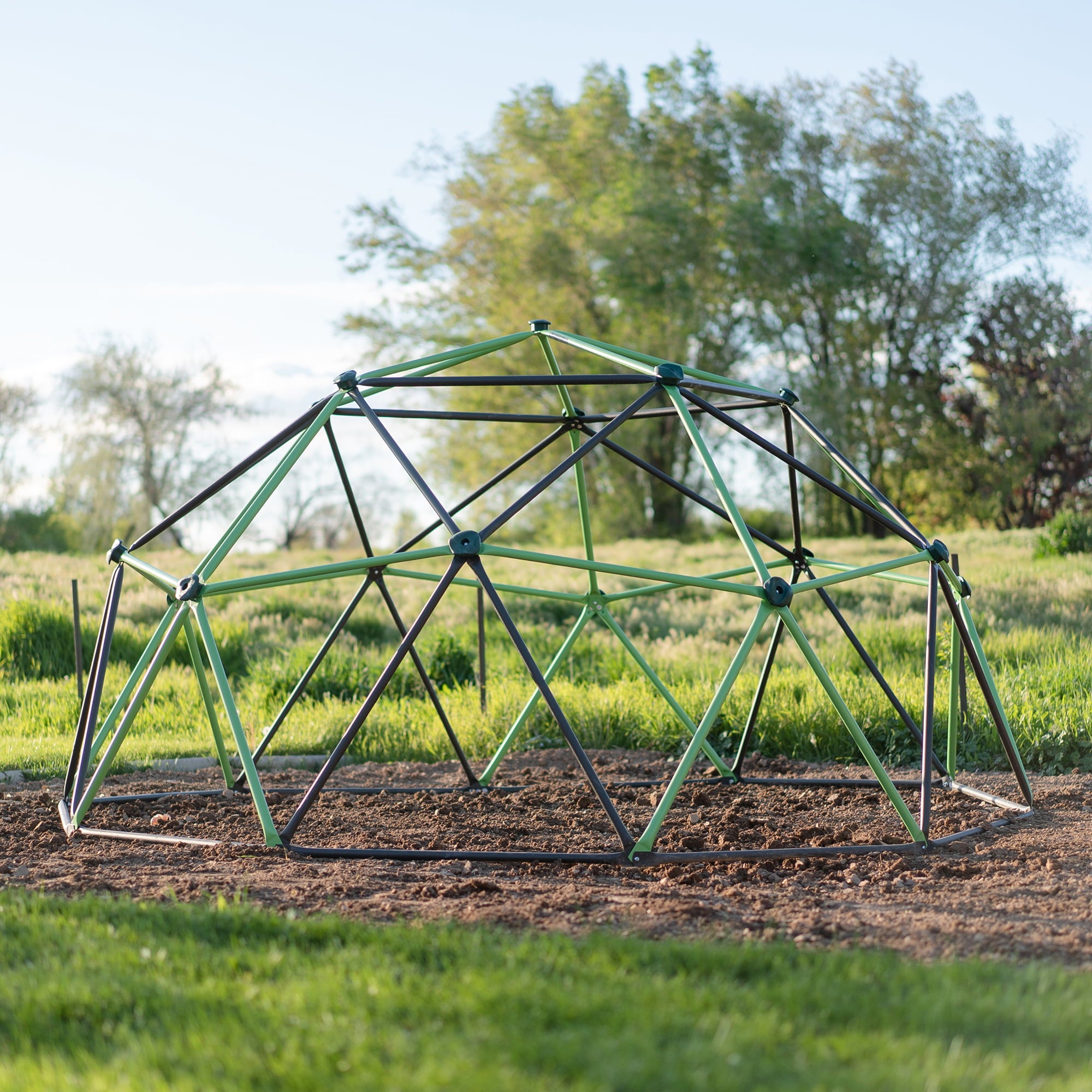 Lifetime 66 inch Steel Playground Climbing Dome， Mantis Green and Bronze (90951)