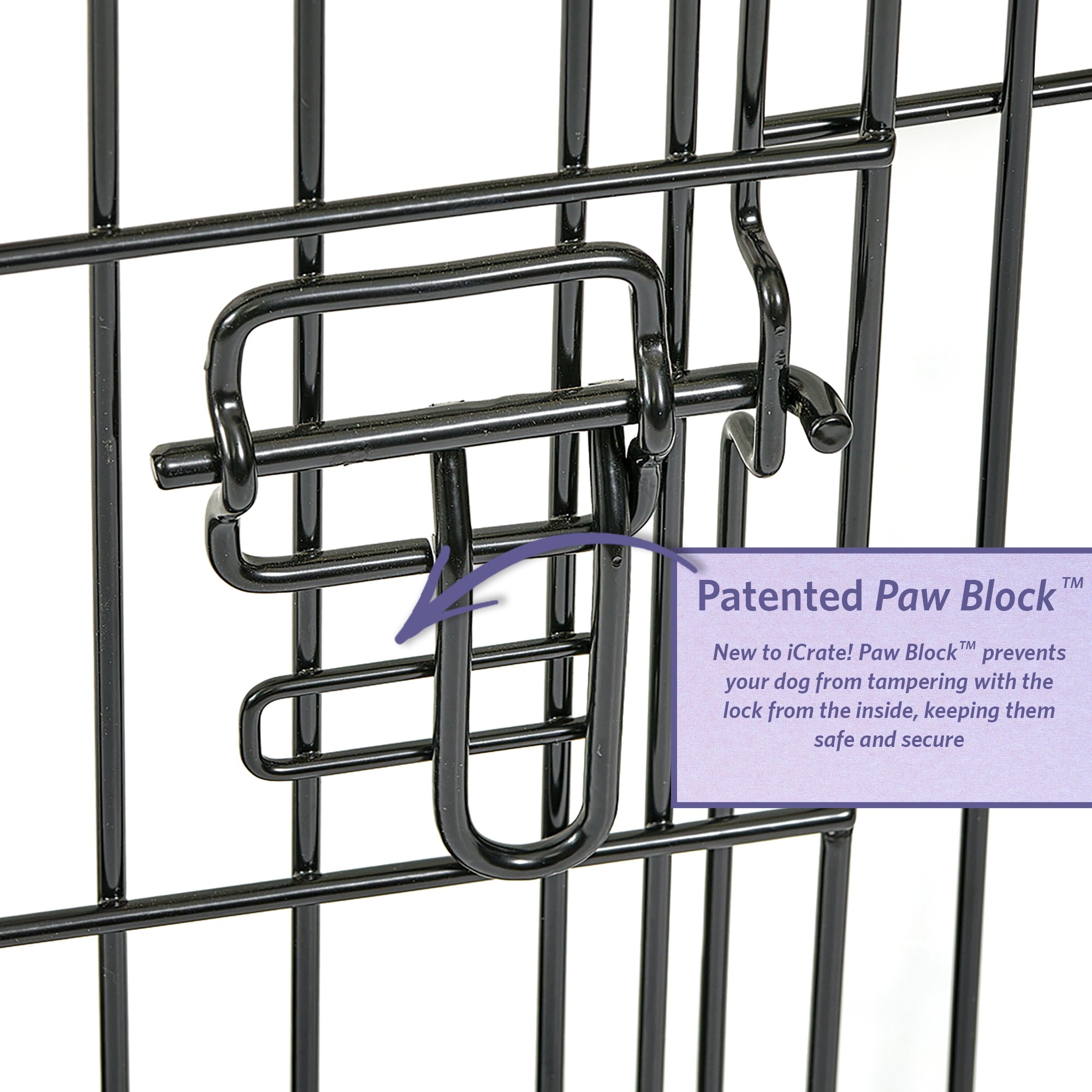 Large Dog Crate | MidWest iCrate Folding Metal Dog Crate | Divider Panel， Floor Protecting Feet， Leak-Proof Dog Pan | 42L x 28W x 31H Inches， Large Dog