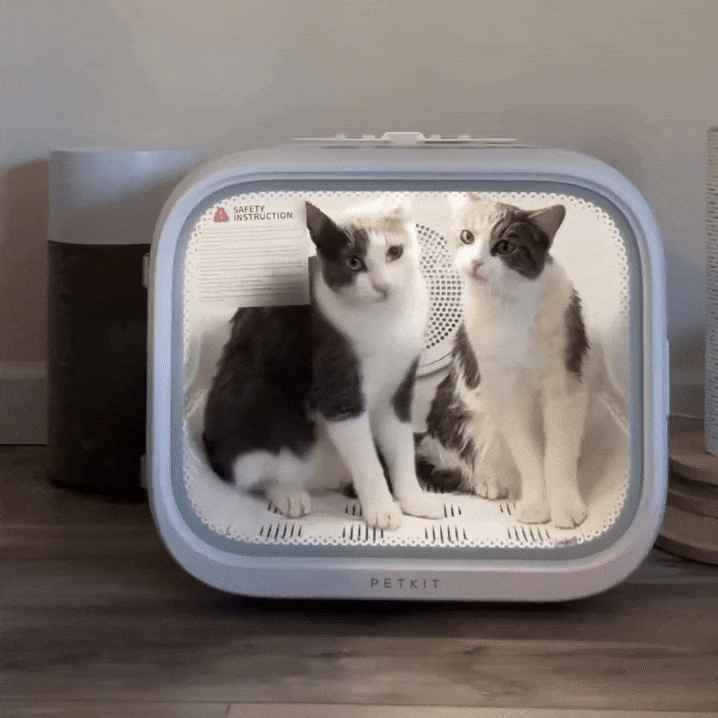 Quiet Hands-Free Pet Dryer Cabin for Dogs & Cats | 360° Airflow & Low-Noise Design