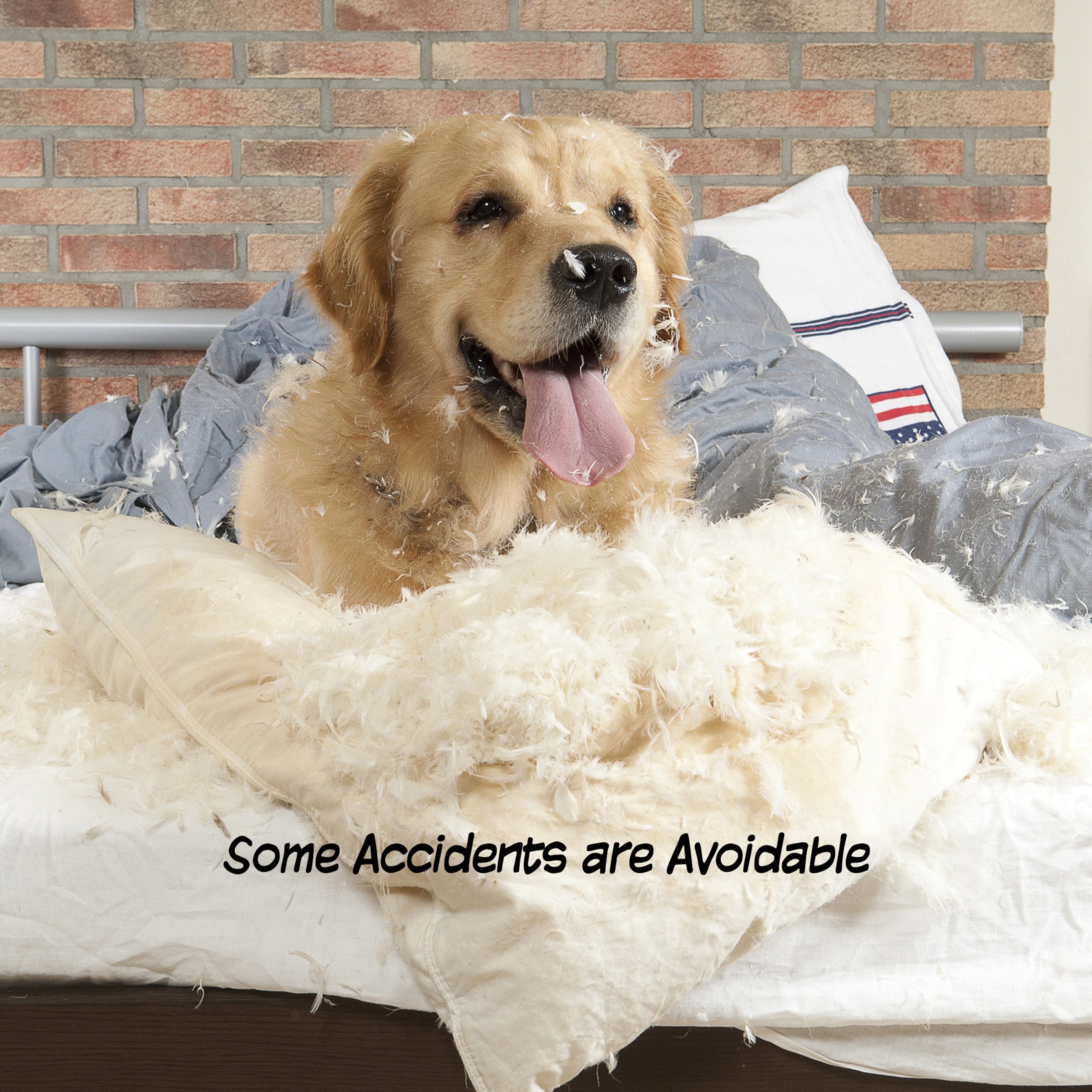 Pet Gate – Dog Gate for Doorways， Stairs or House – Freestanding， Folding， Accordion Style， Wooden Indoor Dog Fence by Petmaker (4 Panel， White)