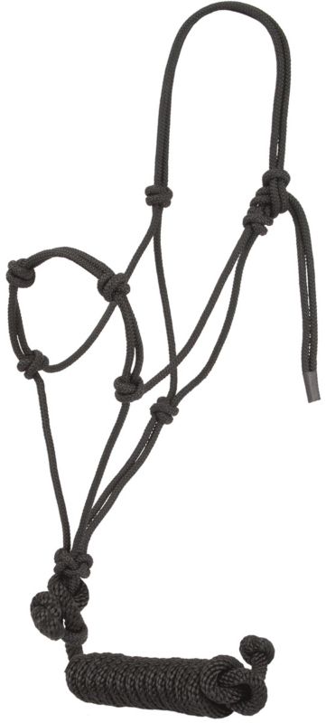 Mustang Knotted Rope Training Halter Black