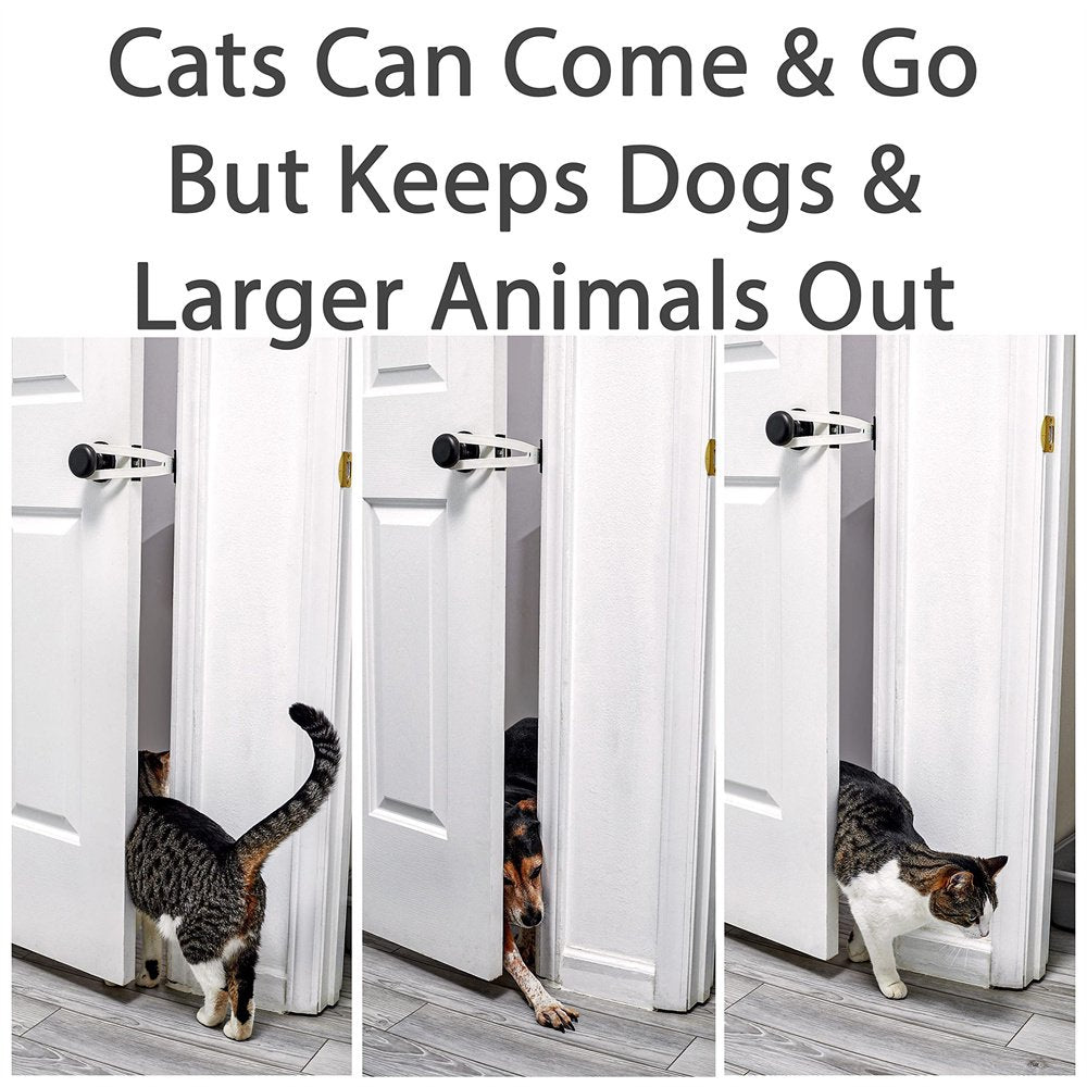 Cat Door Holder Latch - White Cat Door Alternative Installs Fast Flex Latch Strap Let Cats in and Keeps Dogs Out of Litter andFood