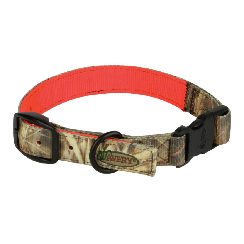 Avery Sporting Dog's Reversible Collar