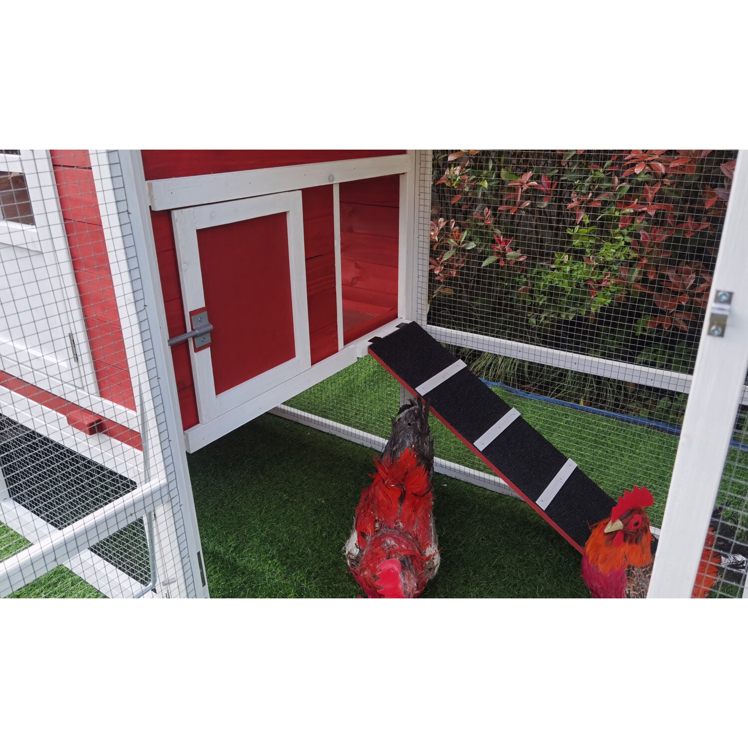 Hanover Outdoor Elevated Wooden Chicken Coop with Ramp， Wire Mesh Run， Waterproof Roof， Removable Tray， and External Door- HANCC0105-RED